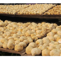 HelloYoung 100% Organic 500g Dried Lion's Mane Mushroom Chinese Herbs Tea