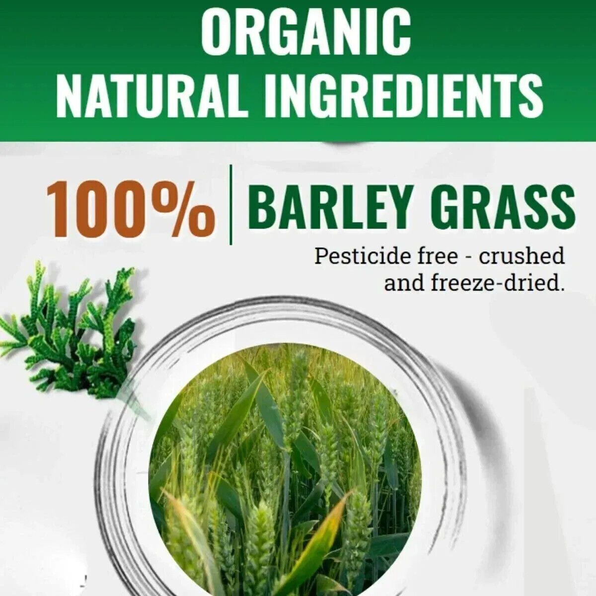 NEW HELLOYOUNG  Barley grass powder 100% Pure & Organic