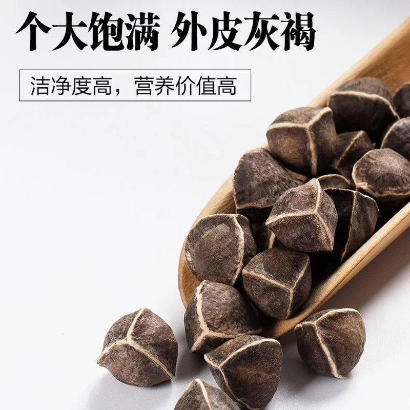 250g/8.8oz Top Bulk Moringa Seeds Heathy Herbal Tea Lamuzi Herbs Healthy Drink