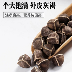 250g/8.8oz Top Bulk Moringa Seeds Heathy Herbal Tea Lamuzi Herbs Healthy Drink