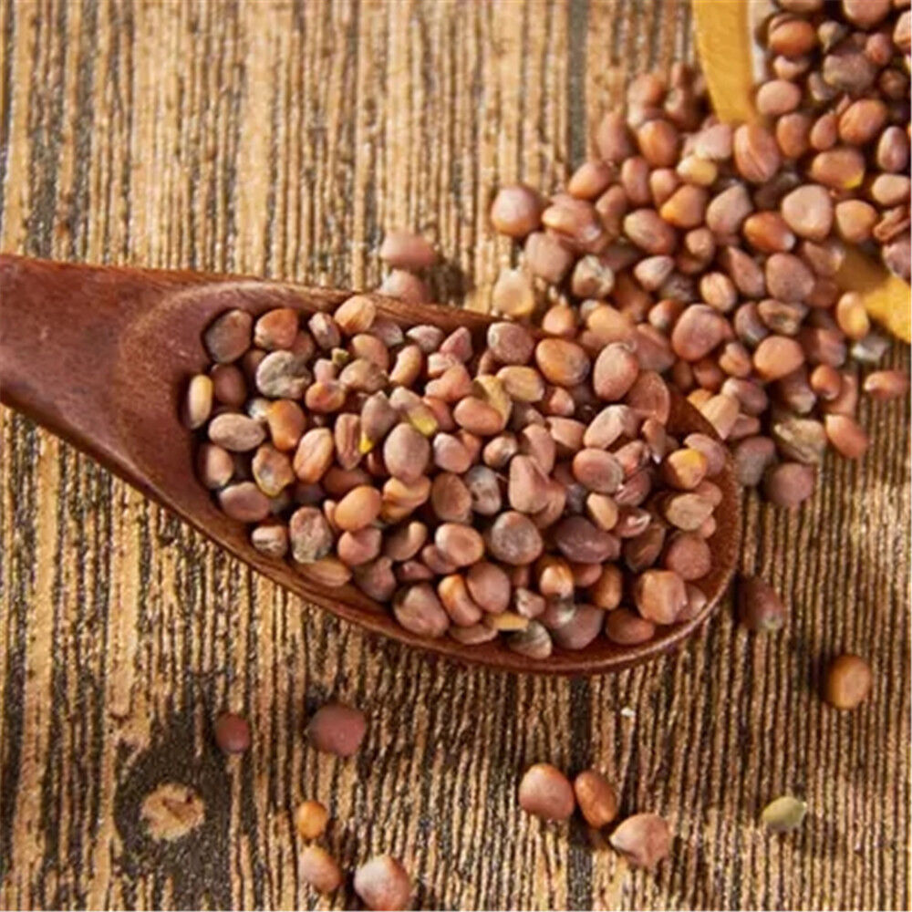 HelloYoung 100% Natural Lai FU zi Radish Seeds Dried Herbs Herbal