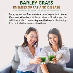 HELLOYOUNG Barley Grass Powder 100%-Pure & Organic,  Pure Organic-Barley new