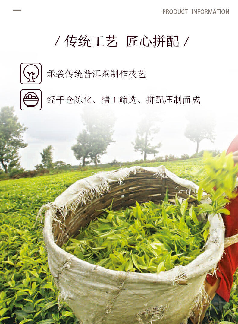 Yunnan Pu'er Tea  Old Tree Spring and Autumn No.3 Pu-erh Puer Ripe Tea 357g