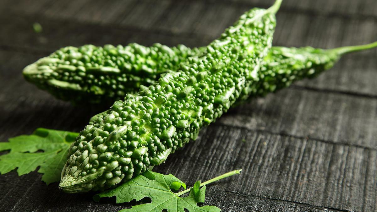 Getrockneter Bitterkürbis gemahlenes Pulver mit Samen senkt den Blutzucker