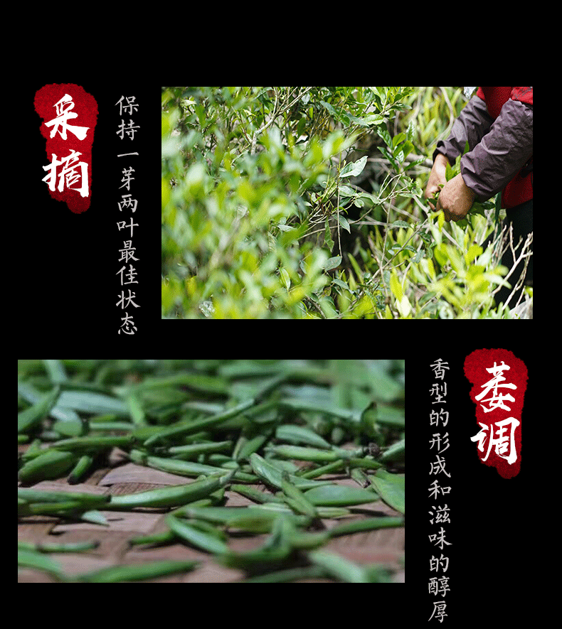 HelloYoung TeaOrganic Jin Jun Mei Golden Eyebrow Wuyi Black Tea 500g Jinjunmei Red Tea Junmee