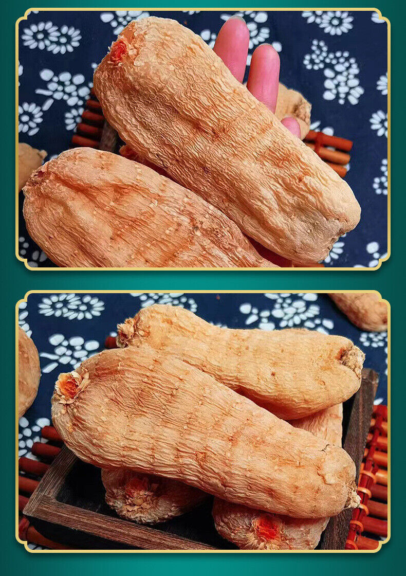 云南邵通天麻 三年一采 Tian Ma / 500g Pure Herbal Gastrodia Elata Root / Rhizoma gastrodia