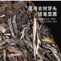 2021 Haiwan Famous Mountain Aged Tree Raw Puer PaSha Gu Shu Old Pu'er Tea 500g