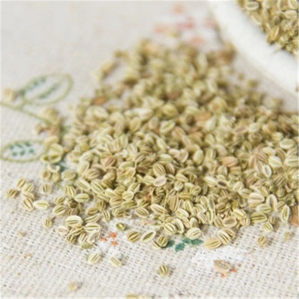HelloYoung 100% natural Cnidium Monnieri seeds herb She Chuang Zi Chinese herbal medicine