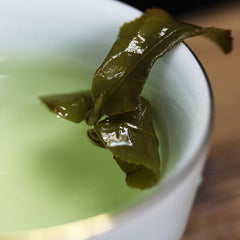 HelloYoung Taiwan Alishan Oolong Tea Premium Formosa Alishan High Mountain Wulong Tea 250g