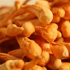 250g Organic Cordyceps Sinensis Dried Mushroom Chinese Tradition Medicine