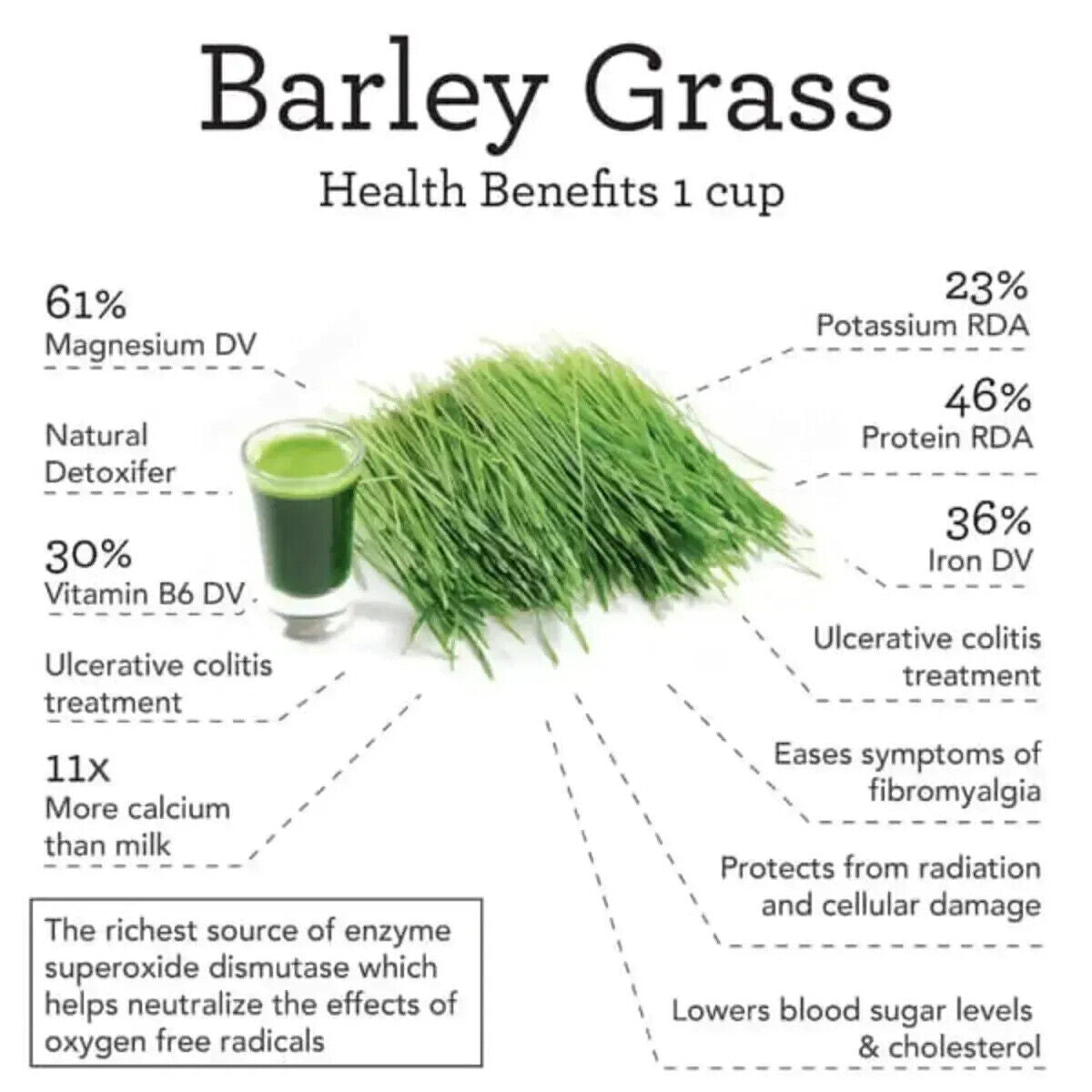 NEW HELLOYOUNG  Barley grass powder 100% Pure & Organic