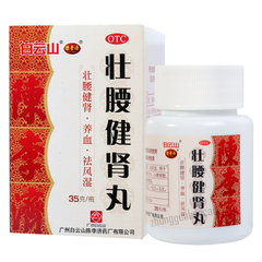 Bai Yun Shan Zhuang Yao Jian Shen Wan Baiyunshan Zhuangyaojianshenwan白云山壮腰健肾丸