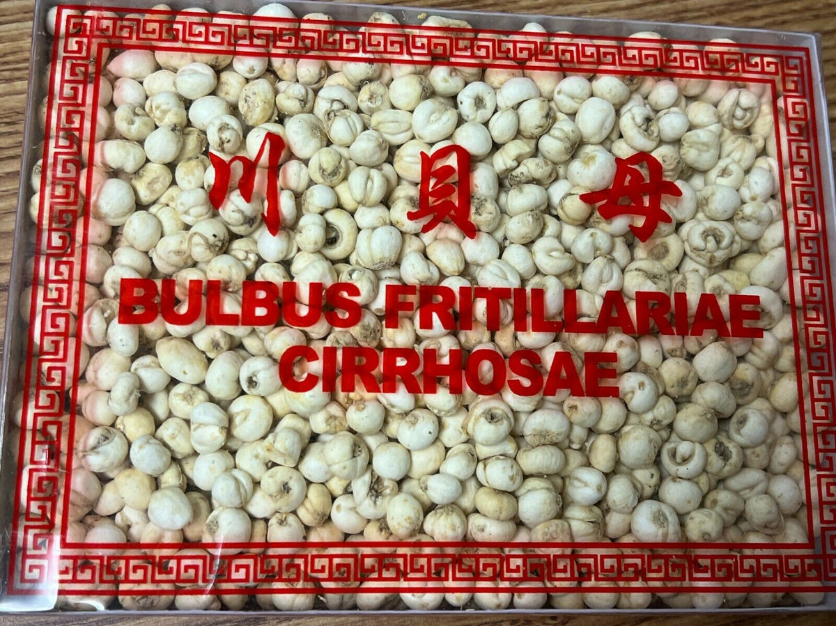 Fritillaria Cirrhosae (川貝母) - good quality and price 1 lb