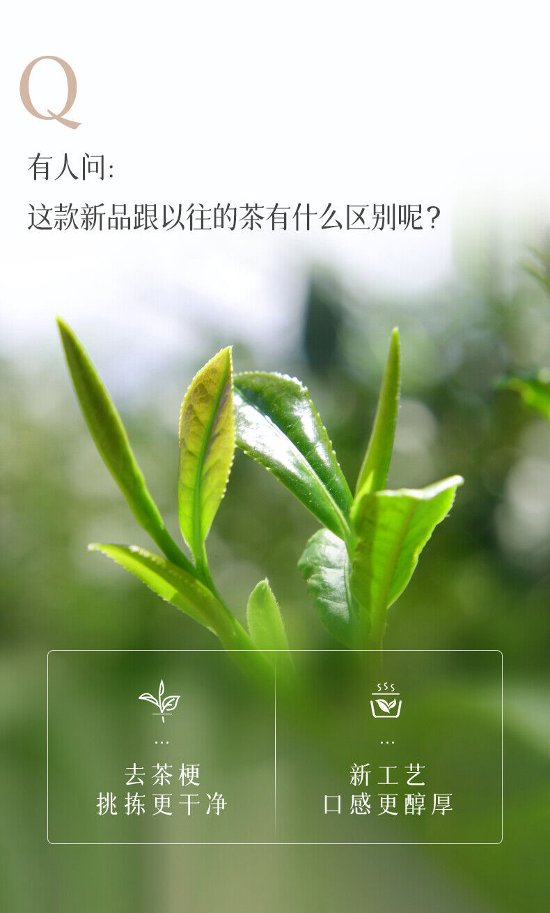 HelloYoung Light Fragrance Type Yunnan Oolong Tea Jibian High Mountain Tea 250g Tin 2100m
