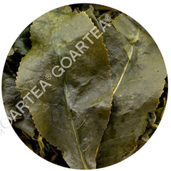 HelloYoung HELLOYOUNG Supreme Taiwan Dongding Oolong Tea High Mountain Tung-ting Green