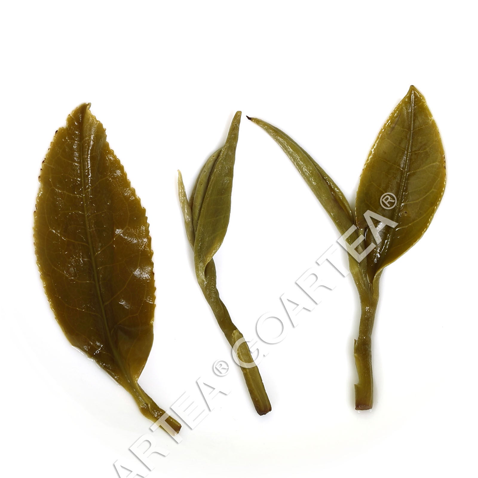 HelloYoung HELLOYOUNG 250g Nonpareil Supreme Biluochun Green Tea Spring Snail PiloChun