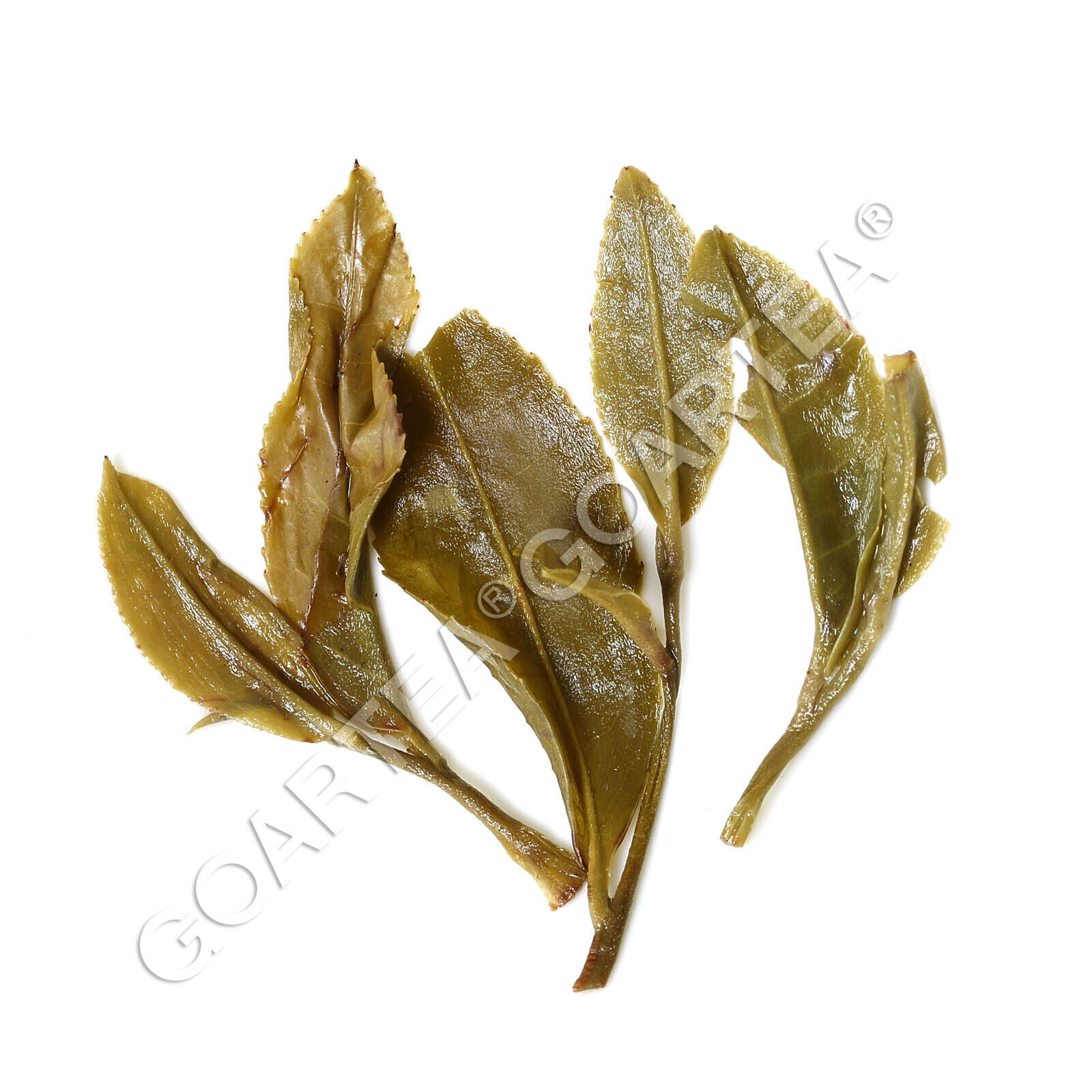 GOARTEA 250g Premium Jasmintee Jasmine Dragon Pearl Green Tea Jasmin Grüner Tee