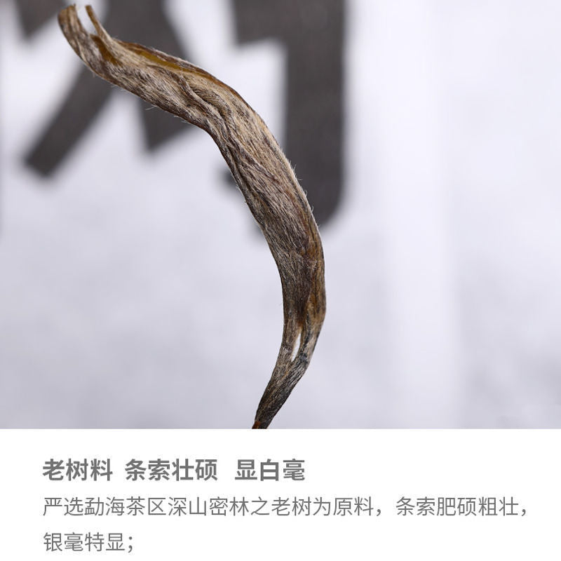 500g Remote Mountain Ancient Tree 2019 Haiwan Old Comrade Batch 191 Raw Puer Tea