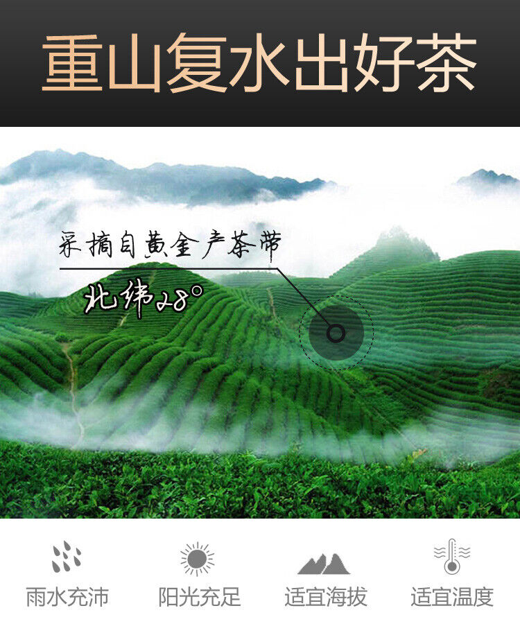 240g Hu Nan Baishaxi Instant Assorted Black Tea Brick  Anhua Dark Tea