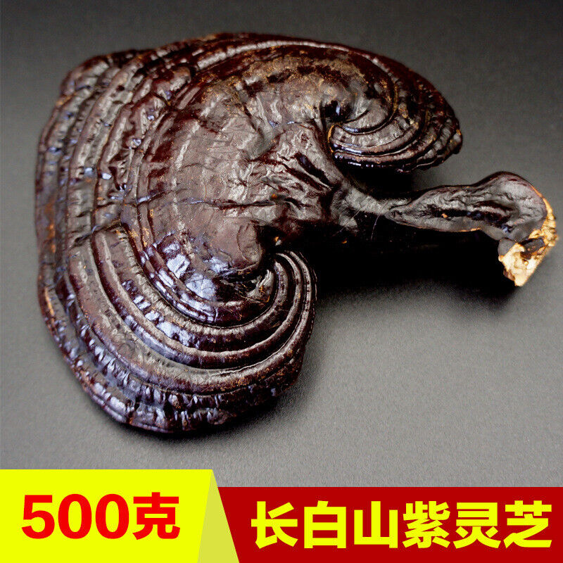 500g Reishi Soup Purple Ganoderma Lucidum Wild Lingzhi Mushroom Herbs