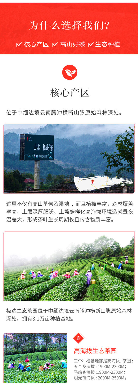 HelloYoung TeaYunnan TENG CHONG Black Tea Jibian High Mountain Tengchong Dianhong Tea Red 168g