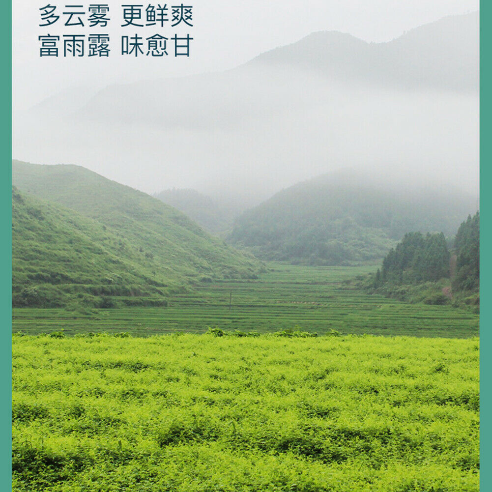 艺福堂七叶嫩叶绞股蓝茶降三高 延缓衰老 Yi Fu Tang Qi Ye Nen Ye Jiao Gu Lan Cha Jiaogulancha