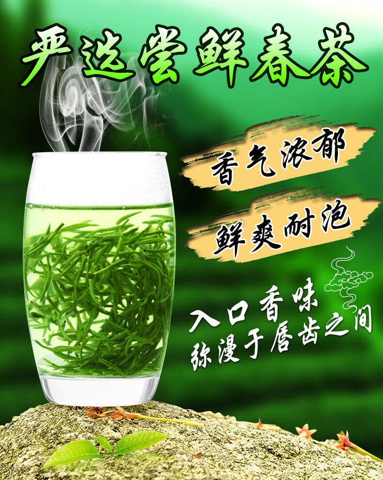 Xin Yang Tea Mao Jian Green Tea 250g Tin Ming Qian Premium Xinyang Maojian Tea