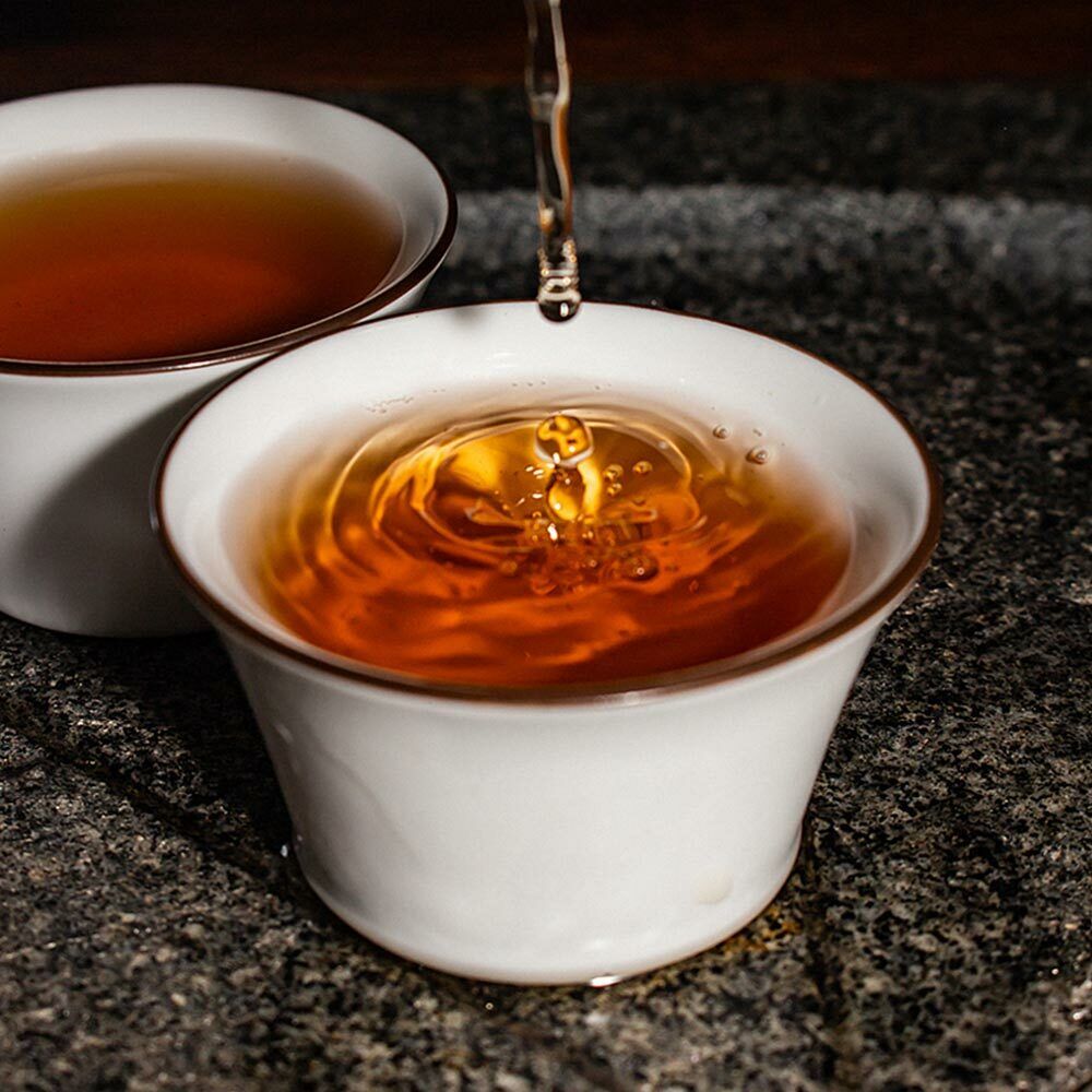HelloYoung 318g Baishaxi Classic 1953 Fucha Dark Tea Yu Pin Fu Tea Brick Tea Health