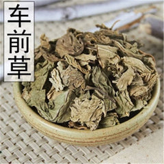 250g Dried Plantain Herb, 100% Natural Chinese Medicinal Plantain Herb