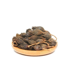HelloYoung 100% natural dried herb Poria Lian Qiao Fructus Forsythiae aromatic Chinese herb