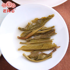 HelloYoung "Shen Shan Lao Shu" Raw Pu Erh Tea Health Care 500g Top Haiwan Tea Raw Pu Erh
