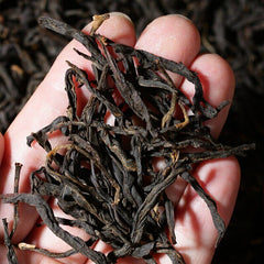 HelloYoung Tea/Yunnan Black Tea Dianhong Golden Bud Tea Floral Honey Scent 125g