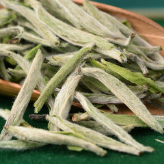 HelloYoung White Tea Fuding Original White Tea Specialty Tea Premium Silver Needle 50g