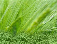 Barley Grass Powder Certified Organic 3kg Green Alkalising Vegan