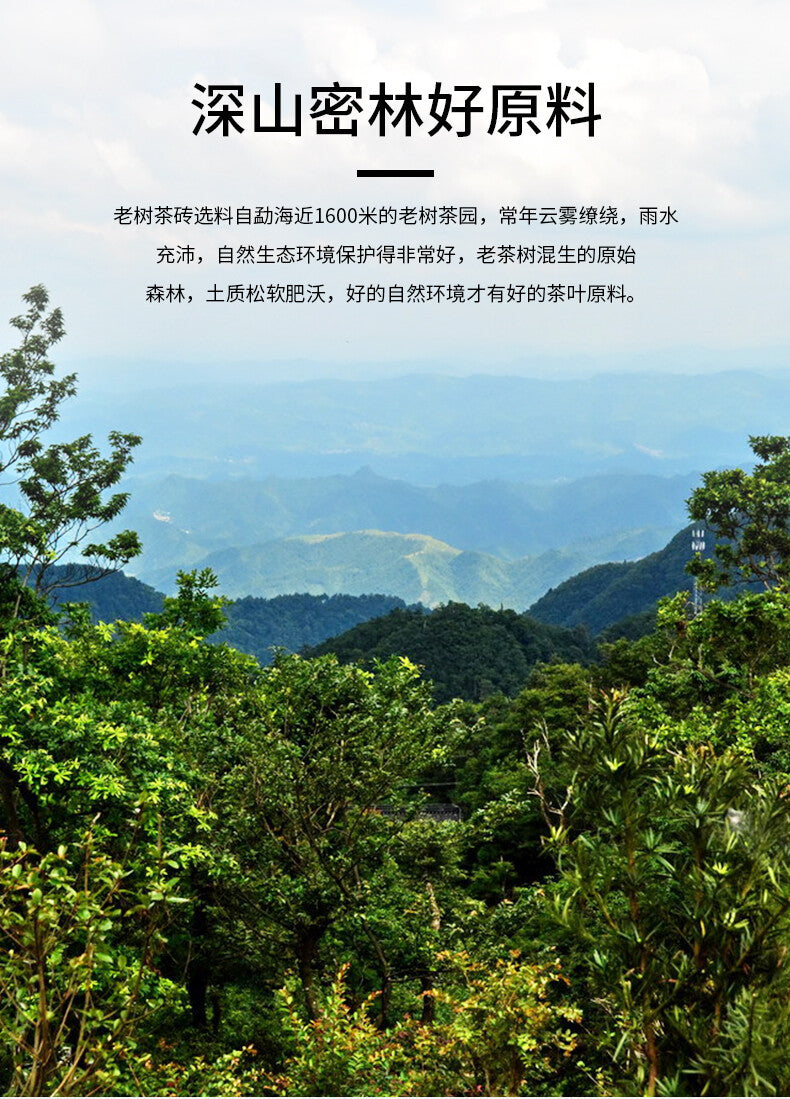 Haiwan Tea  Menghai Old Tree Tea Brick Ripe Pu-erh Pu Er Tea 500g Box
