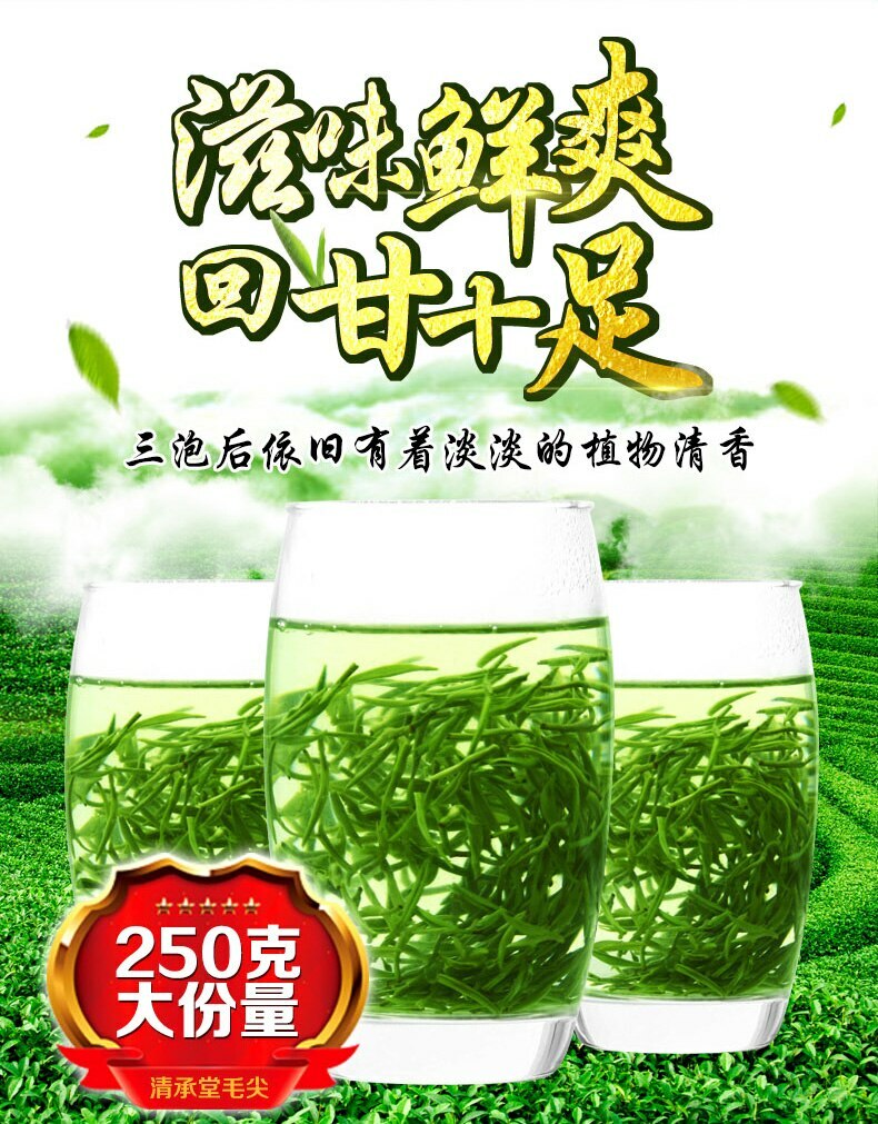 Xin Yang Tea Mao Jian Green Tea 250g Tin Ming Qian Premium Xinyang Maojian Tea