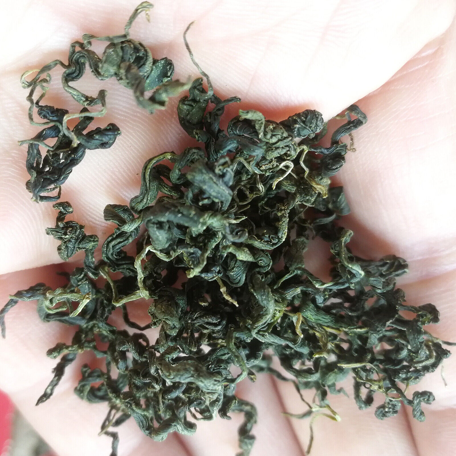 250g/8.8oz Jiaogulan Herbal Tea Natural Gynostemma Pentaphyllum Herbs Tea