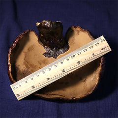 HelloYoung 100% Natural Black Ganoderma Lucidum Halal Dried Ganoderma Mushroom 17.6oz