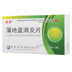 Handu Pudilan Xiaoyan Pian 韩都蒲地蓝消炎片
