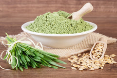 Organic Barleygrass Powder - Barley Grass Detox Green Juice Cleanse Weight Loss