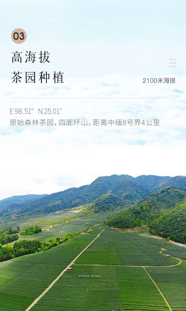 HelloYoung Light Fragrance Type Yunnan Oolong Tea Jibian High Mountain Tea 250g Tin 2100m