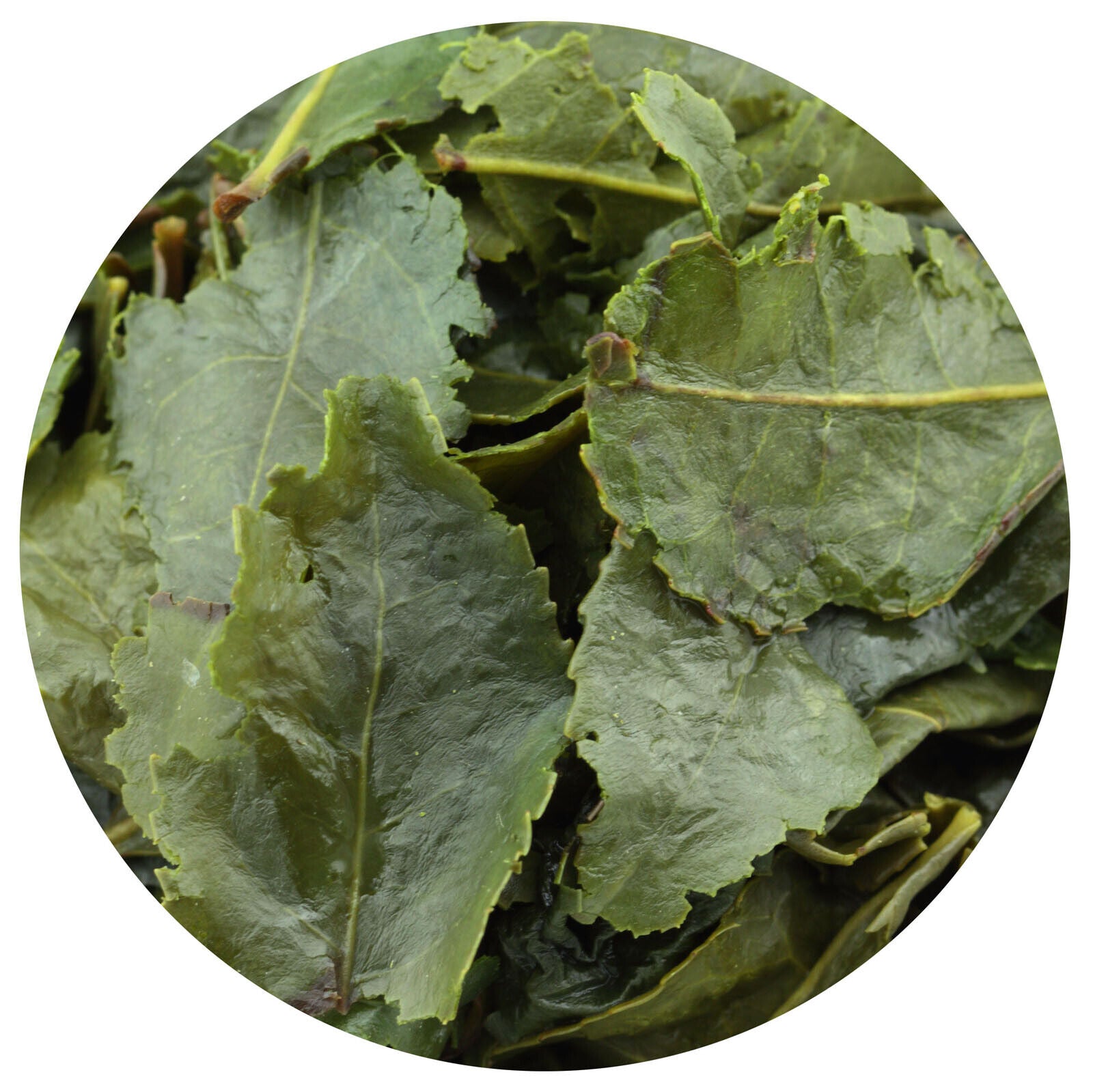 HelloYoung HELLOYOUNG Supreme TieGuanYin Oolong Tea Fujian Anxi High Mountain Iron Goddess