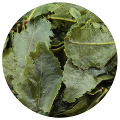 HelloYoung HELLOYOUNG Supreme TieGuanYin Oolong Tea Fujian Anxi High Mountain Iron Goddess