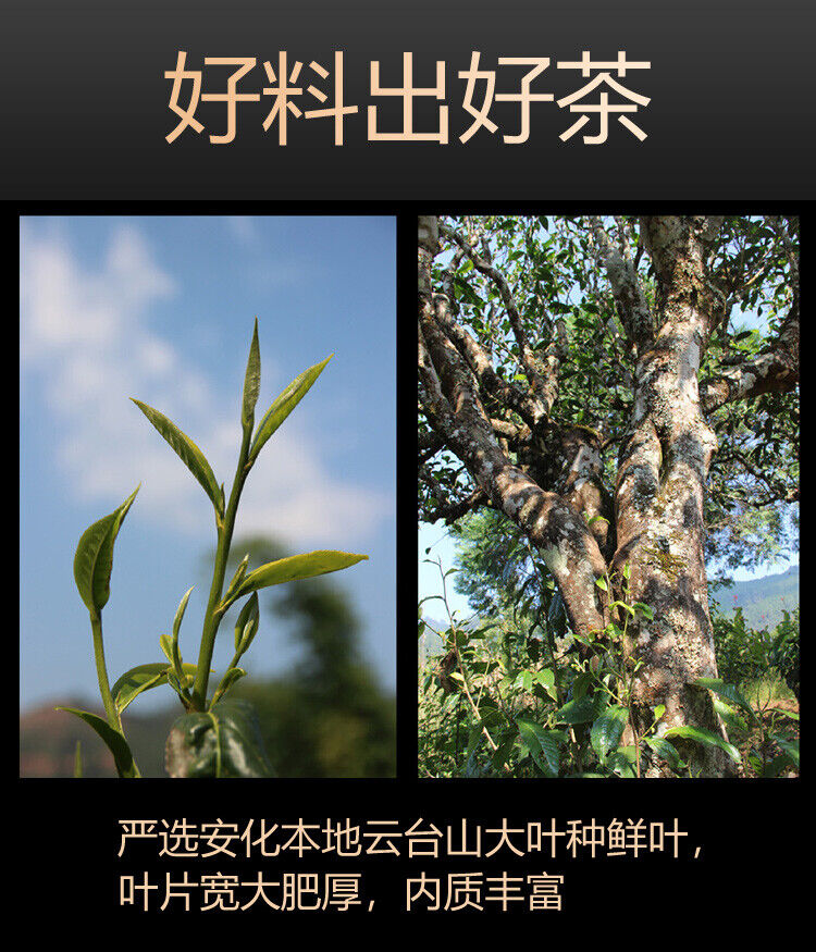 240g Hu Nan Baishaxi Instant Assorted Black Tea Brick Anhua Dark Tea Fu Cha