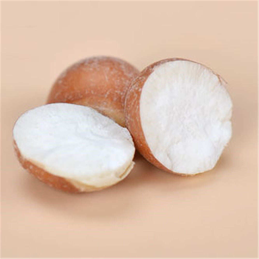 500g organic high quality fox nuts barley Uriar Schleichanshi dried nuts