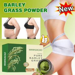 2Box Barley Grass Powder 100%Pure & Organic Pure Organic Barley!