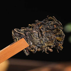 HelloYoung /Yunnan Yi Ren Phoenix Tuo Cha raw puer 100g Chinese Sheng Pu erh Tea