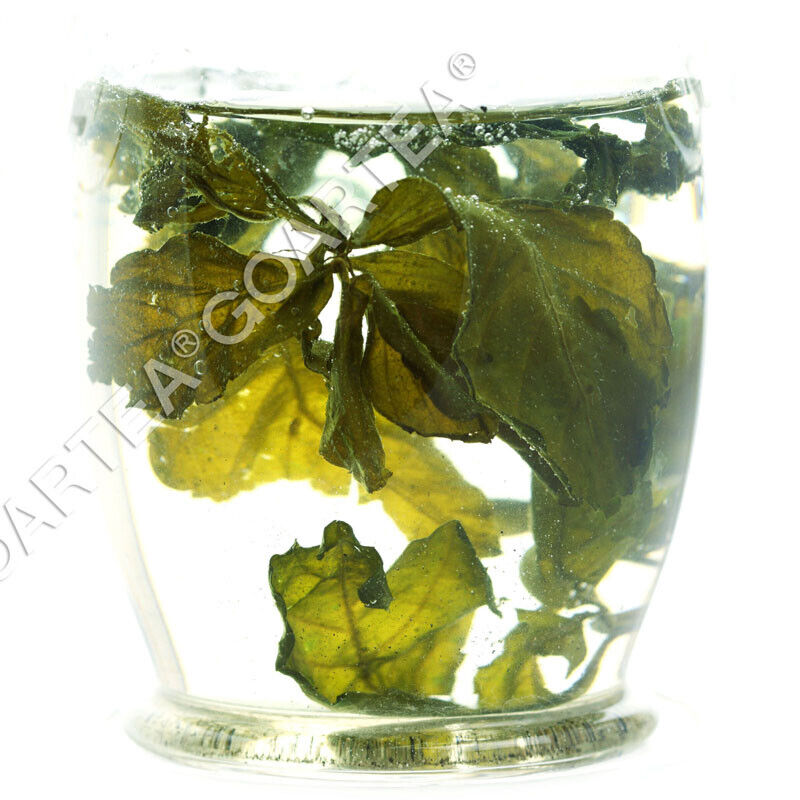 HelloYoung HELLOYOUNG Premium Jiaogulan Gynostemma Pentaphyllum Tea Herbal Flower Green