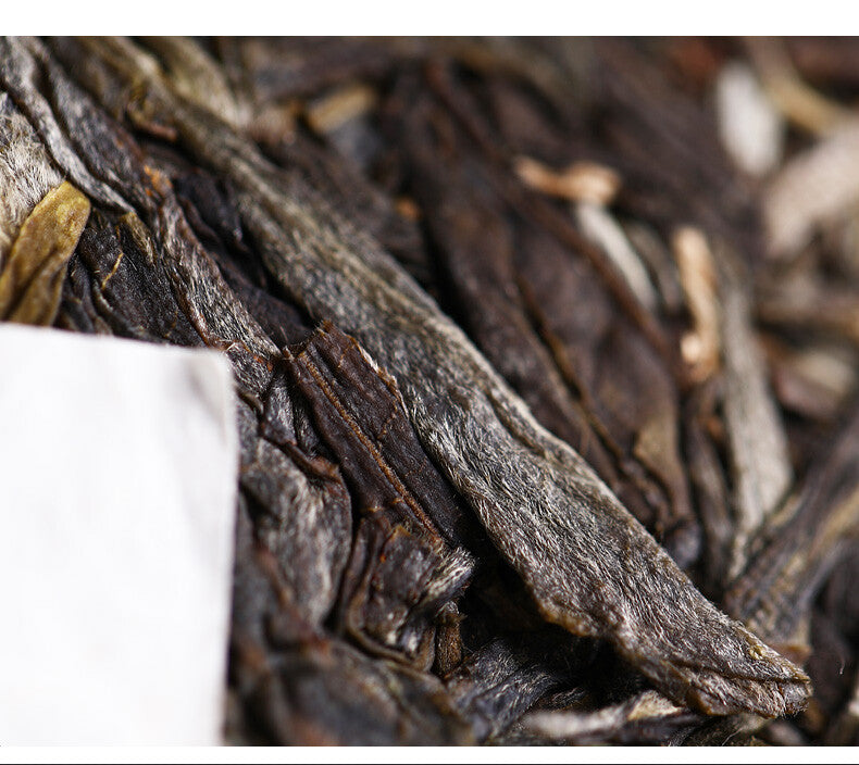 2021 Haiwan Yi Wu Zheng Shan Ma Hei Famous Old Tree Shen Puer Tea Raw Pu'er 500g