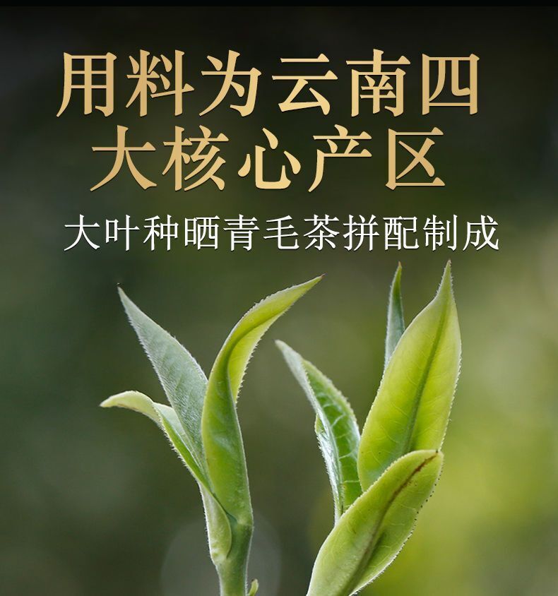 DALI Tuocha  Yunnan Xiaguan Shu Pu-erh Tea Pu'er Ripe Puer Tea 100g Boxed